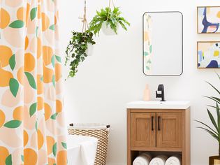Bathroom with gallery wall, mirrored medicine cabinet, and hanging plants