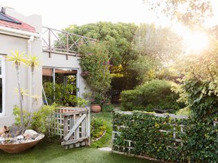Backyard makeover with outdoor trees and foliage covering fences