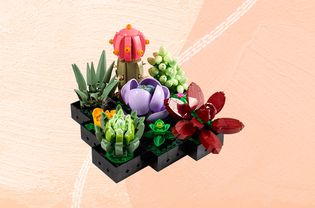 Lego Succulents collaged against colorful peach background