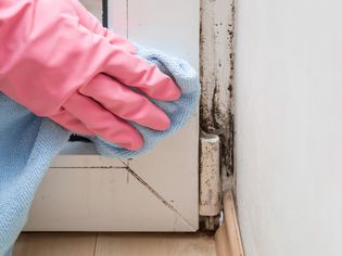 Cleaning Mold and Mildew