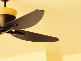 Contemporary ceiling fan fixture