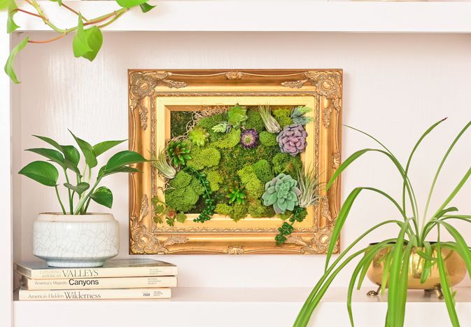 DIY moss art styled on a bookshelf