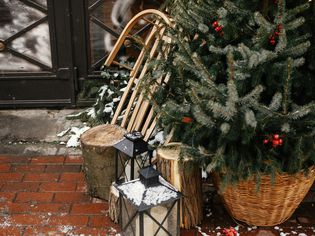 Christmas tree in a basket collar, surrounded by lanterns, tree stumps and a wooden sled