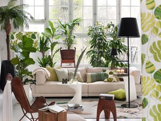 Livingroom with large waindow and dusty pink sofa filled with potted plants