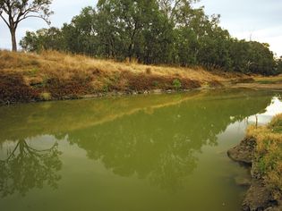 Green water indicating eutrophication and excessive algae growth