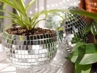 DIY disco ball planter filled with a spider plant on widow sill