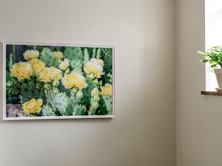 White DIY large frame mounted on wall with picture of cactus and yellow flowers