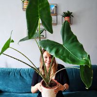 Taylor Fuller sitting holding a large houseplant