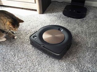 Cat staring at an iRobot Roomba