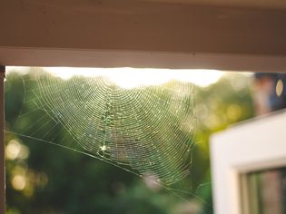 A small spider web in the upper corner of a front porch.