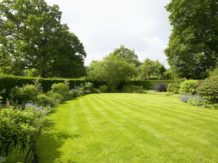 Lawn surrounded by border planting, The Lowes Garden, The Coach House, Haslemere, Surrey, UK