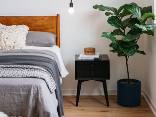 Midcentury bedroom with wooden headboard and black nightstand next to fiddle leaf houseplant