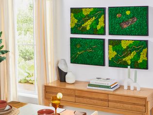 Quad of moss wall art hanging above a wooden console table