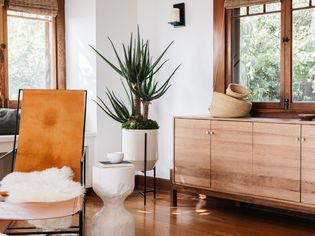 White decorated living room with natural wood trim and large houseplant between wooden cabinets and leather chair