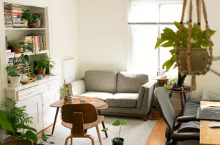 clean apartment with plants