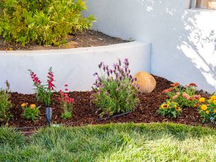 Garden bed with colorful flower varieties surrounded with mulch