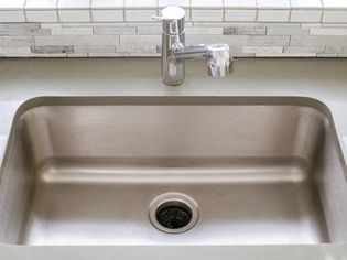 Sink with exposed garbage disposal