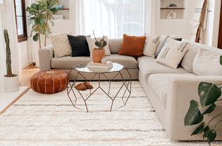 The Spruce Home Area Rug in a Living Room