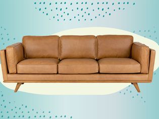 A leather sofa on a blue background