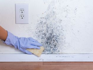 Closeup of someone scrubbing mold off of a wall