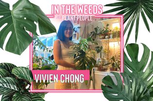 Viven Chong poses for In the Weeds With Plant People
