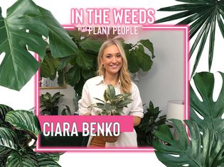Ciara Benko for In the Weeds With Plant People