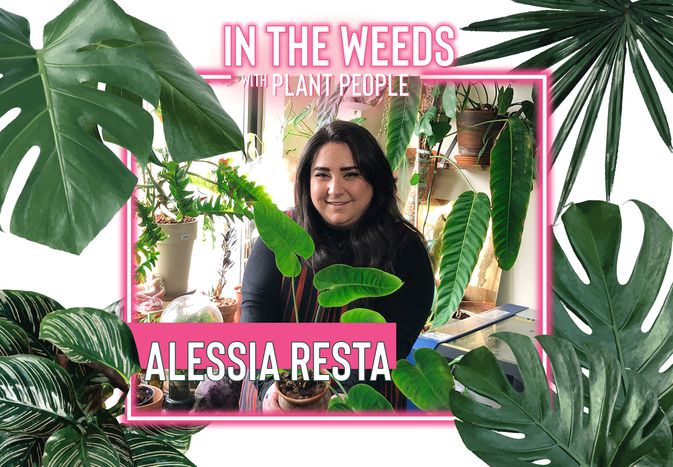 Alessia Resta for In the Weeds With Plant People
