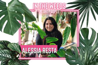 Alessia Resta for In the Weeds With Plant People