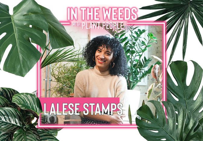Lalese Stamps, ceramics creator, for In the Weeds With Plant People