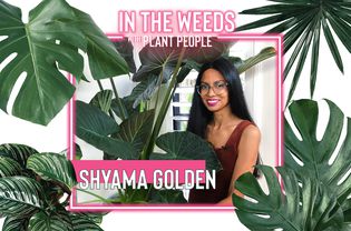 Shyama Golden for In the Weeds With Plant People