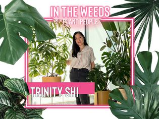 Trinity Shi for In the Weeds With Plant People