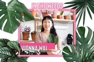 Vionna Wai, In the Weeds With Plant People