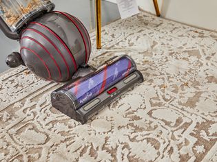 Dyson Ball Animal 3 Extra Vacuum cleaning food from a patterned rug