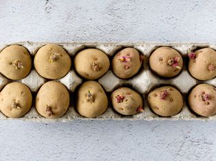 Overhead view of seed potatoes in an egg carton