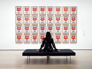 Seated person admiring Campbell's Soup Cans painting by Andy Warhol