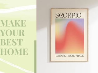 Scorpio framed picture for dorm rooms