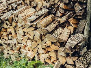Stack of cut firewood near foliage closeup