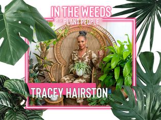 Tracey Hairston for 'In the Weeds With Plant People'
