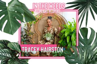 Tracey Hairston for 'In the Weeds With Plant People'